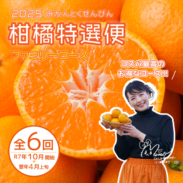 柑橘特撰便 ファミリーコース 全6回分