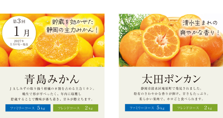 （1月）みかん特撰便