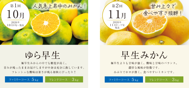 （10月・11月）みかん特撰便