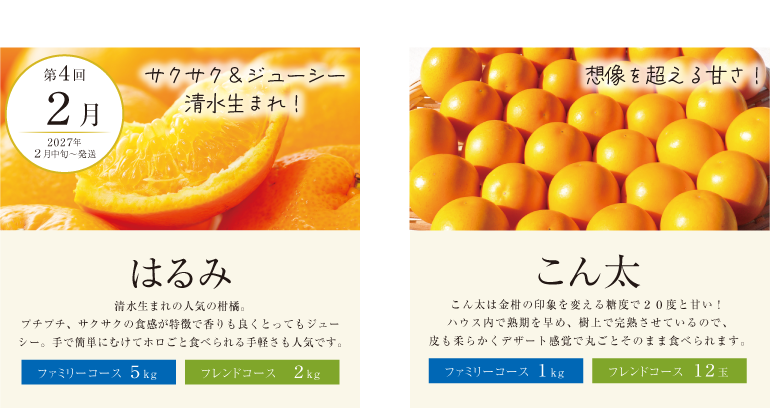 （2月）みかん特撰便