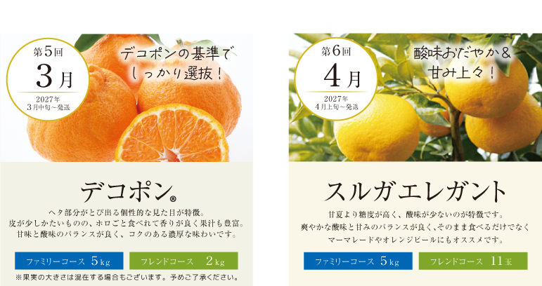 （3月・4月）みかん特撰便