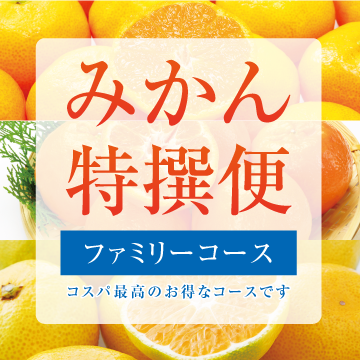 みかん特撰便
